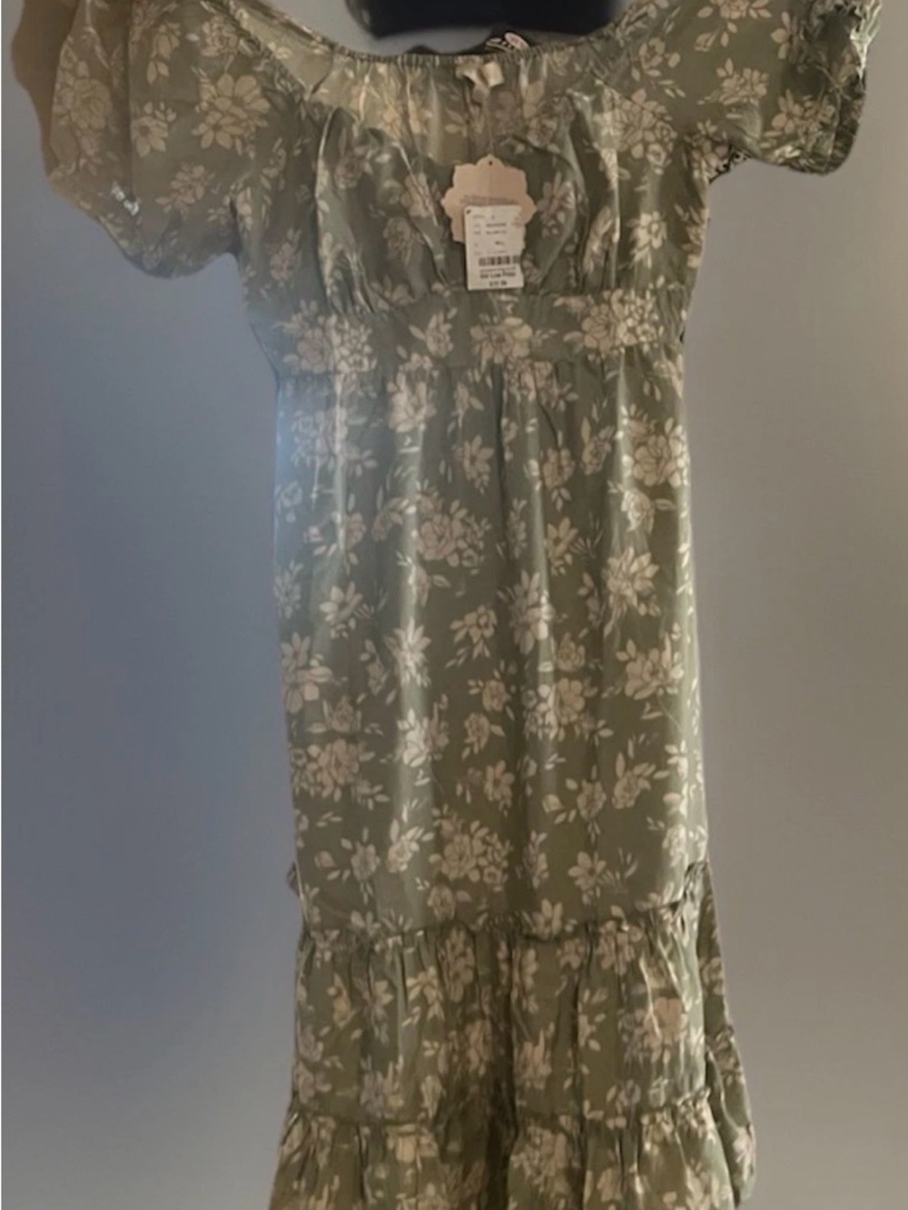 indulge Cream and sage green dress size XL BrandNew with Tags #487